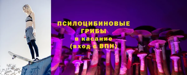 apvp Алзамай