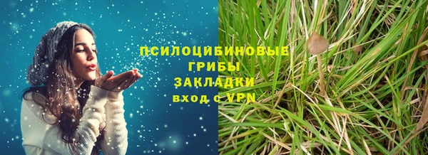 apvp Алзамай
