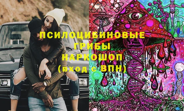 apvp Алзамай