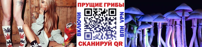 ссылка на мегу сайт  Каневская  Галлюциногенные грибы Psilocybe 