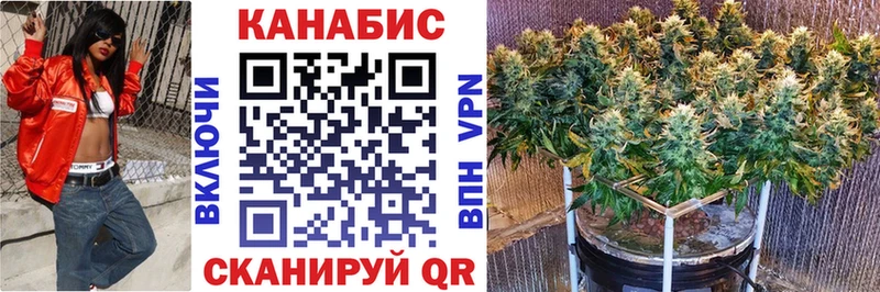 Каннабис конопля Каневская